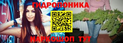 круглые Бердск