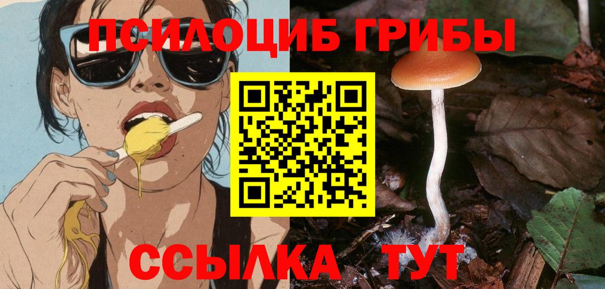 купить наркотик  Галлюциногенные грибы Psilocybine cubensis  Галлюциногенные грибы Magic Shrooms  Вход с VPN  Егорьевск 