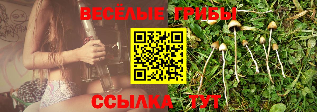 Галлюциногенные грибы мухоморы Егорьевск